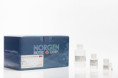 34100 Oligo Clean-Up and Concentration Kit ( 50 rxn )